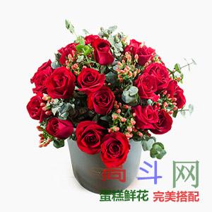 送向日葵代表什么？