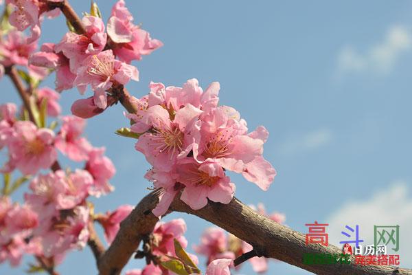 2023年雨水2月19农历正月二十九