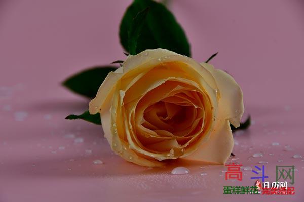 三一四白色情人节